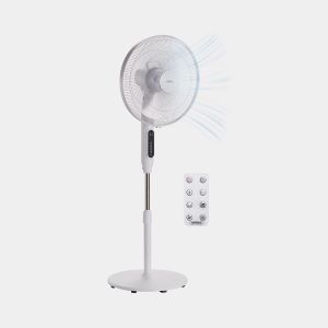 Fans Image