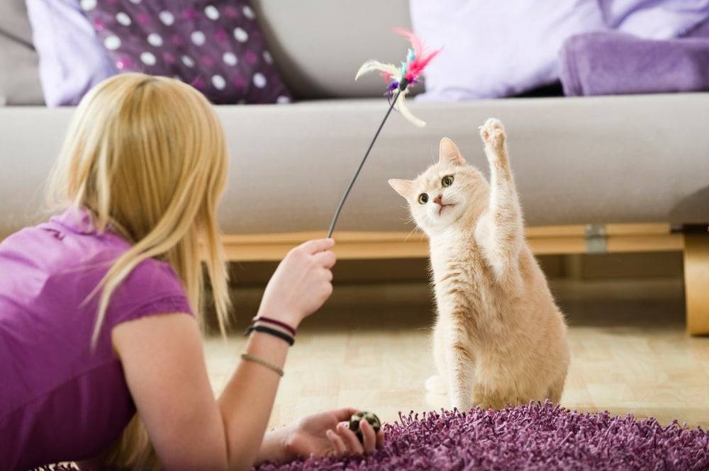 Blonde woman playing with a ginger cat