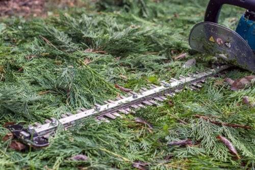 Hedge trimmer with blunt blades
