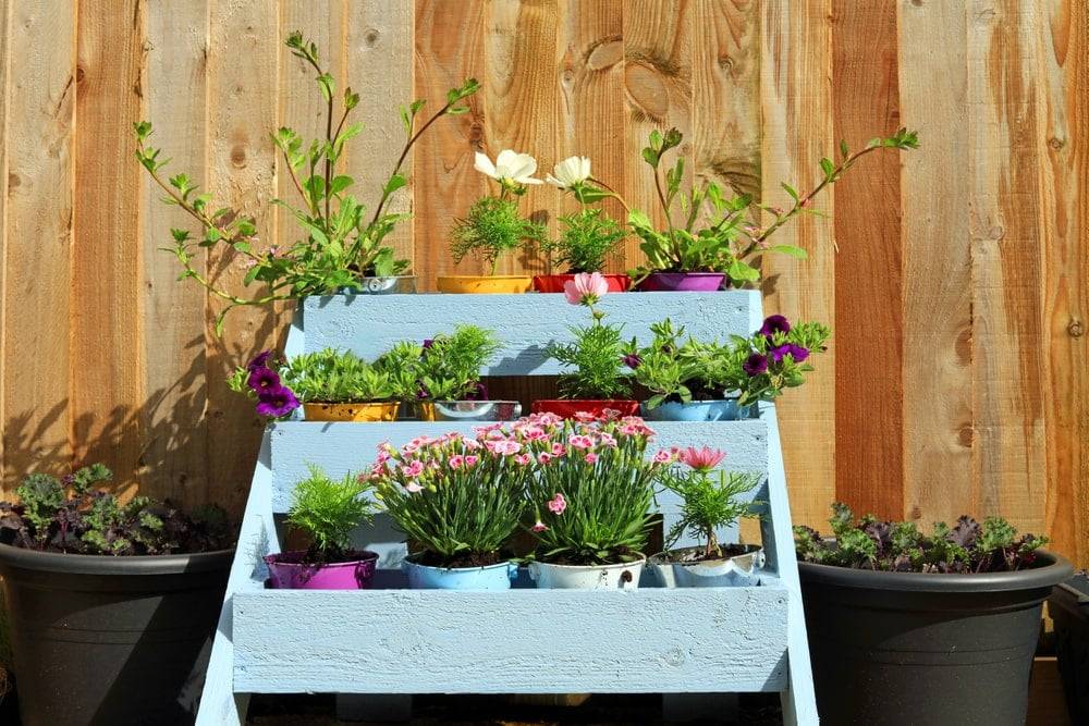 Colourful plants in a turquoise wooden planter
