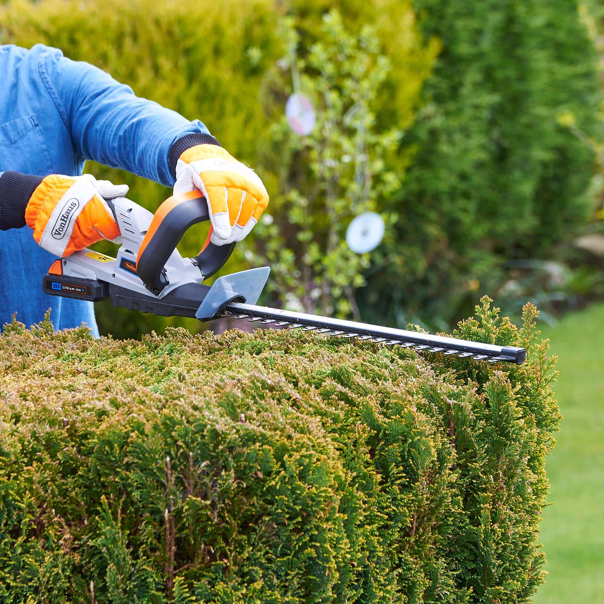 Man cutting hedge with cordless hedge trimmer
