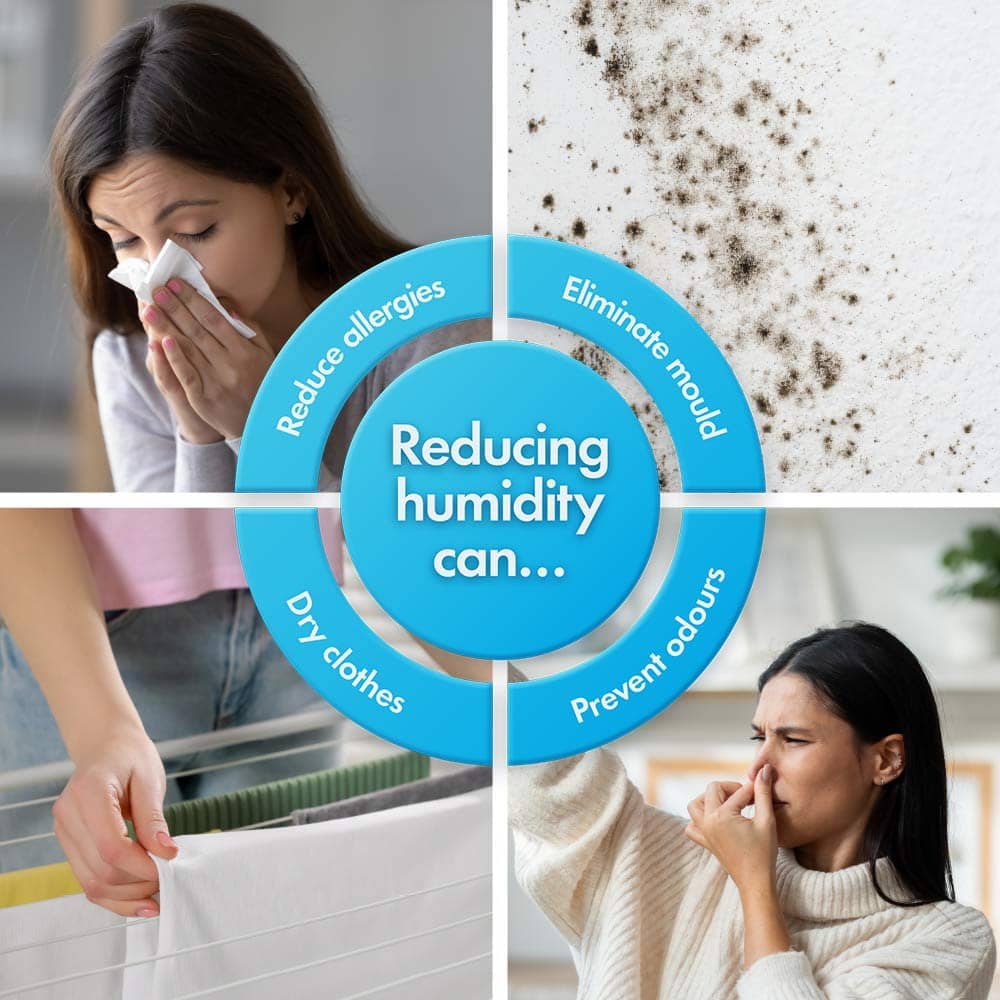 Dehumidifier benefits infographic