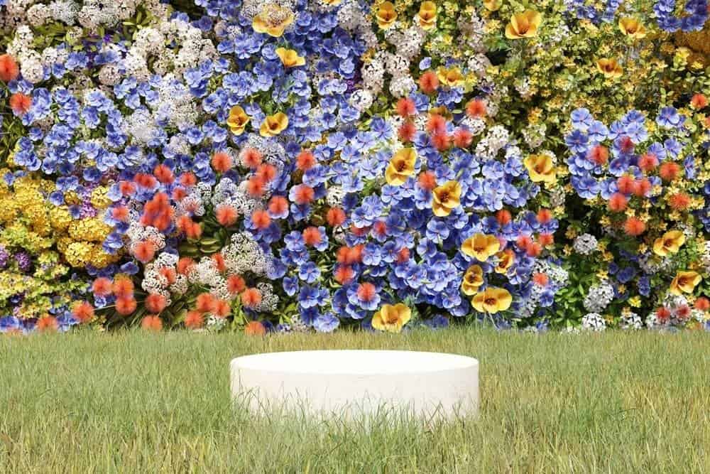 Lots of colourful flowers above a lawn