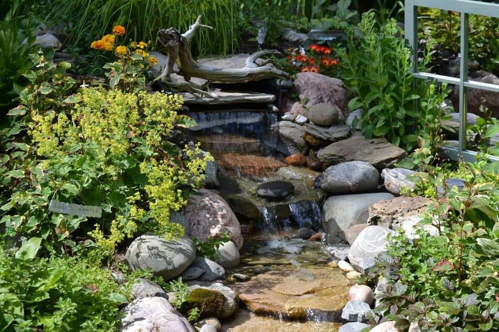 A cascading brook in a back garden