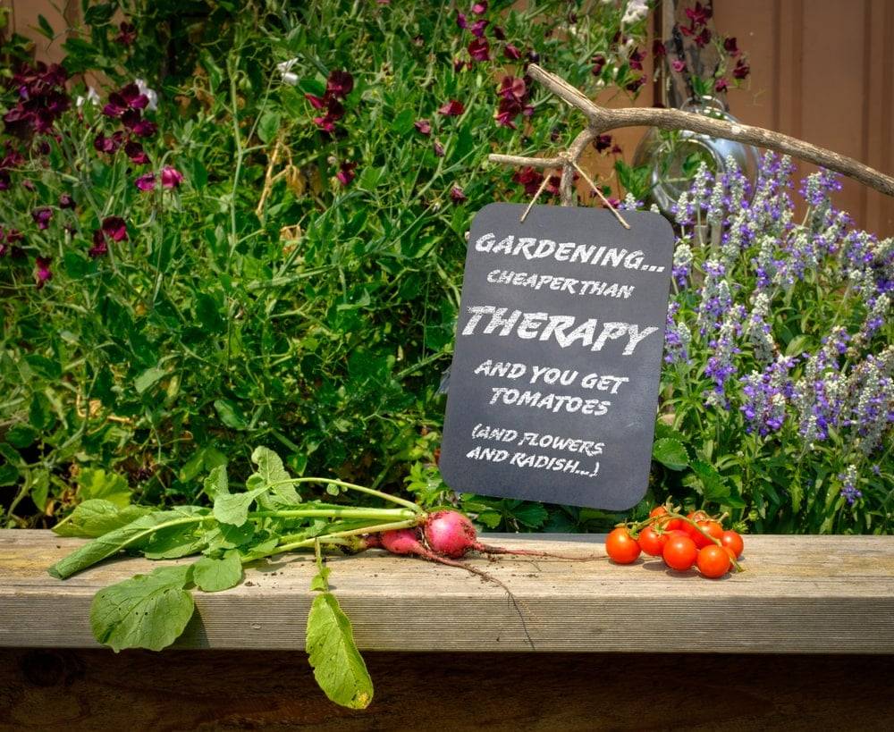 Garden sign hanging from a branch