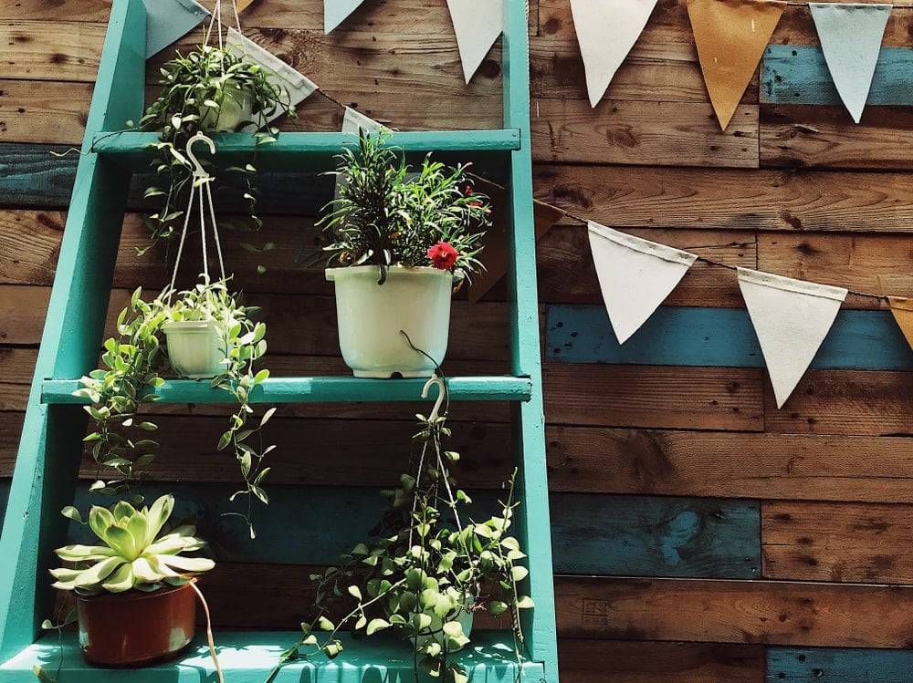 Plant pots on a green garden ladder