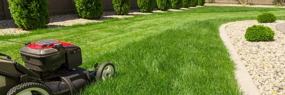 scarifying a lawn to prepare it for winter
