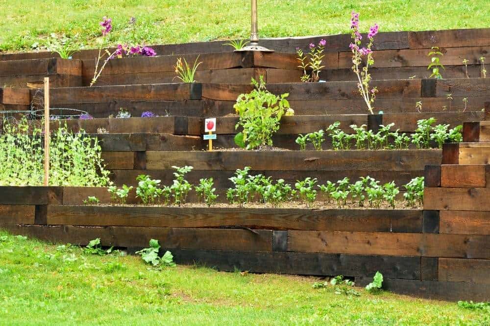 Flowerbeds in a sloped garden