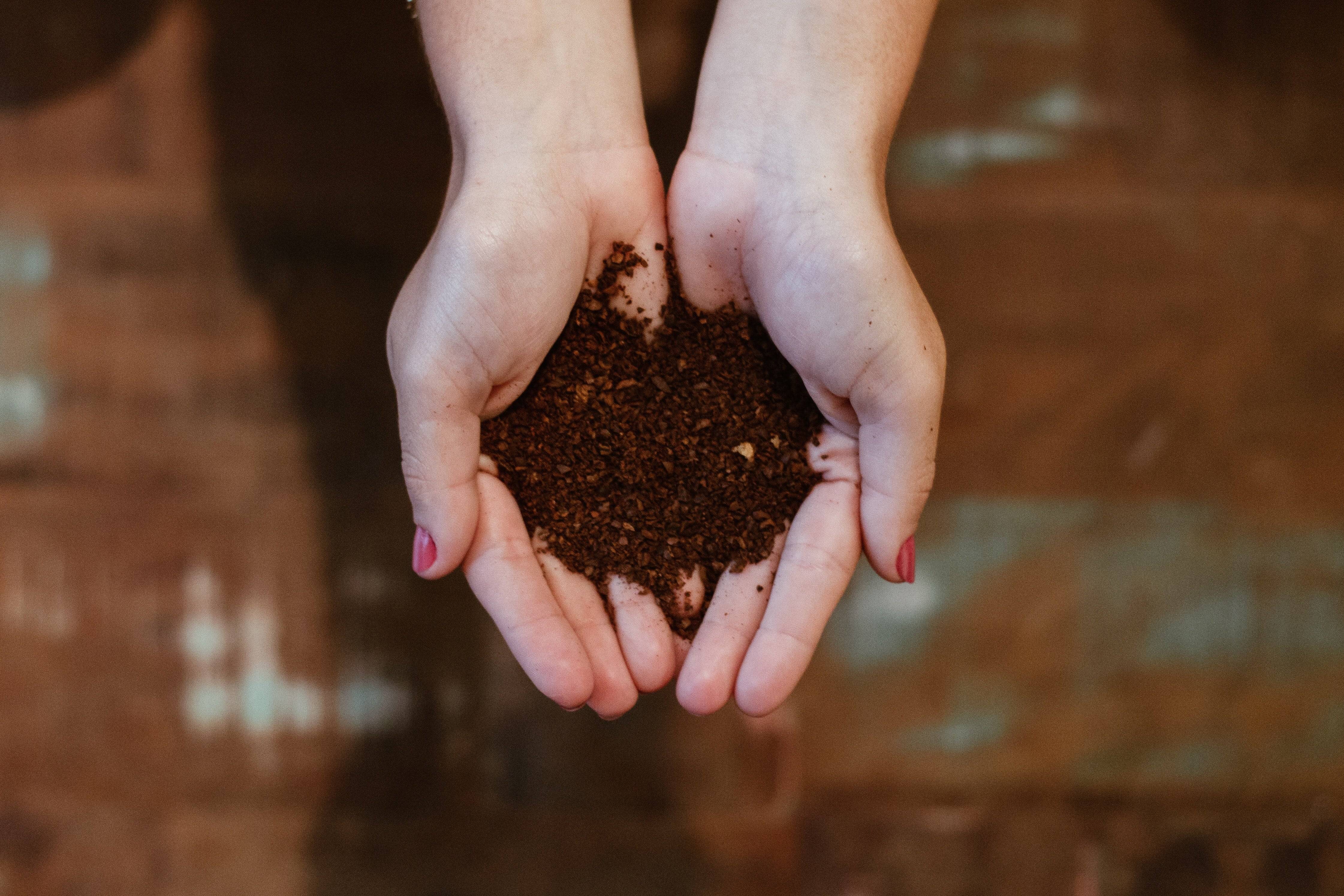 sustainable garden