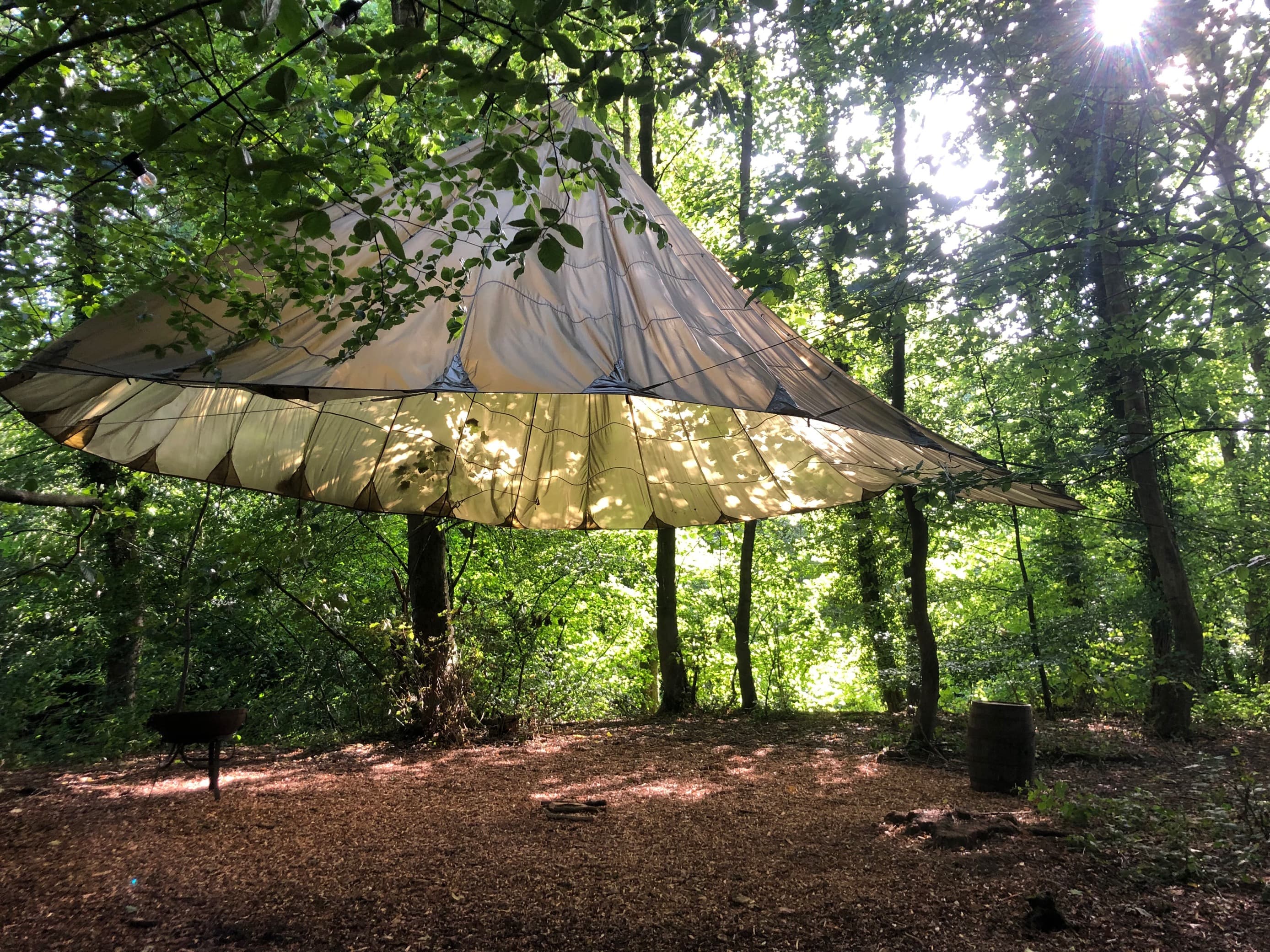 forest in the bollin bowdon with a large beige canopy