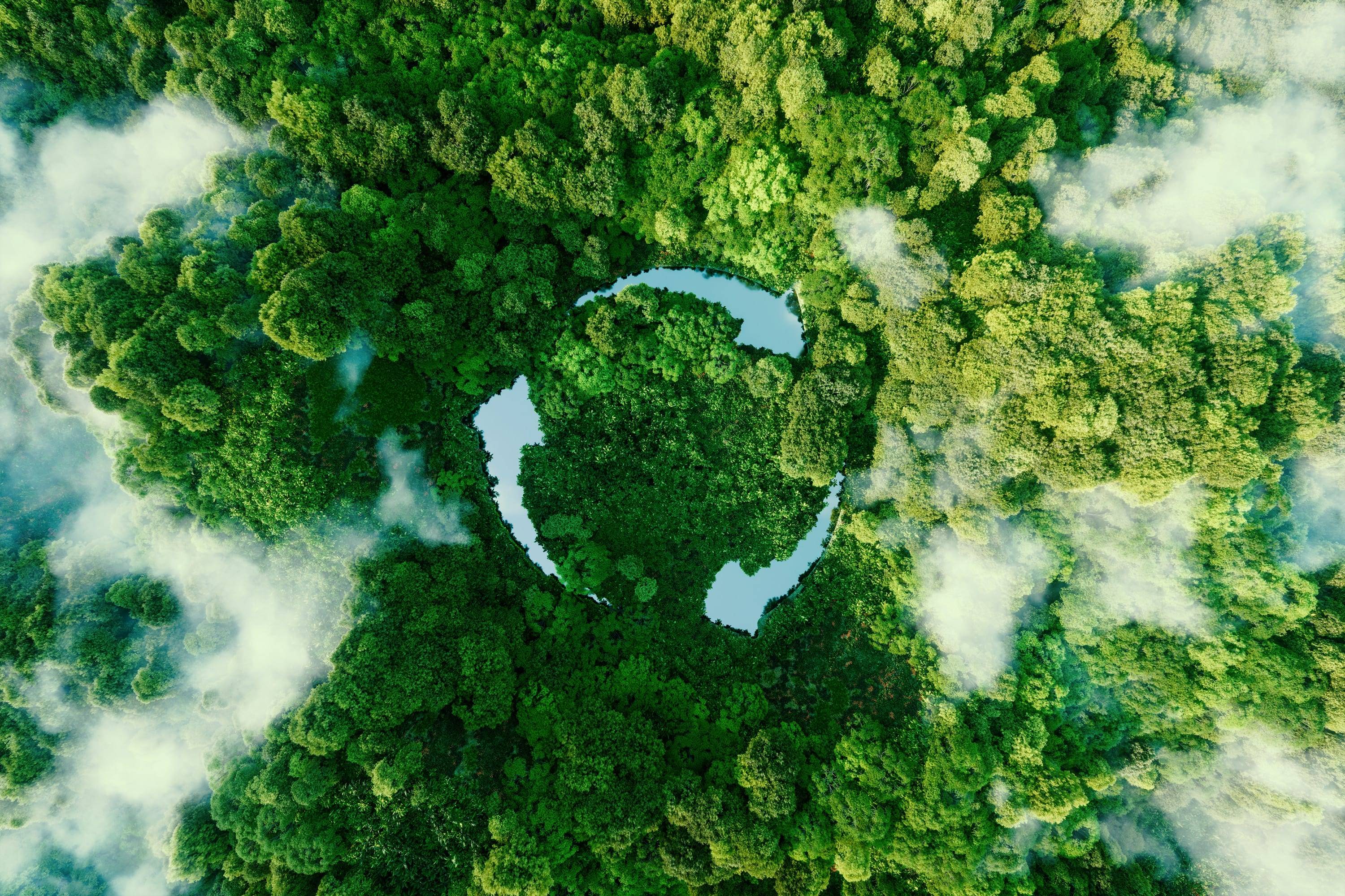 Bird's eye view of a forest with a sustainability symbol in the middle