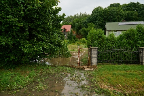 Waterlogged garden