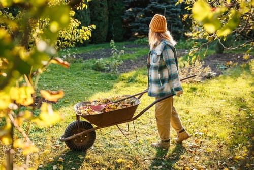 Woman using wheelbarrow